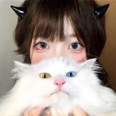 摩登女婿